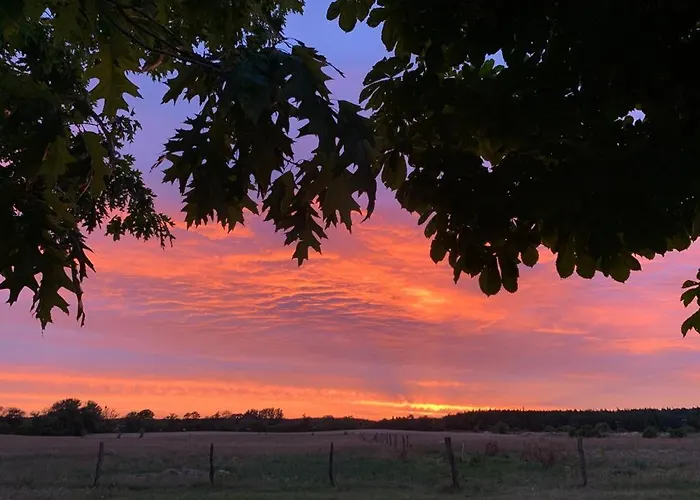 דירה Mit Garten - 10 Minuten Von Templin *