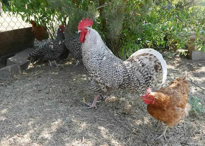 דירה Mit Garten - 10 Minuten Von Templin Milmersdorf